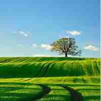 专‍业﻿自‌然﻿流‍量‌平‍台‌